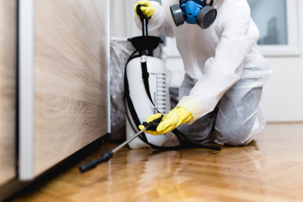 Reliable Ray City, GA Pest Control Solutions