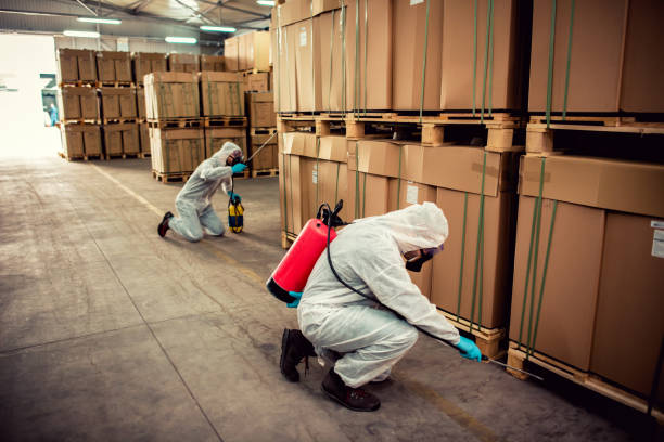 Best Termite Control Services  in Ray City, GA
