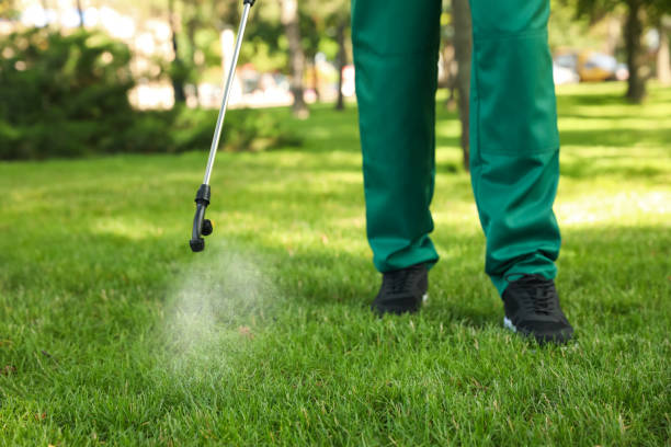Best Pest Inspection Near Me  in Ray City, GA