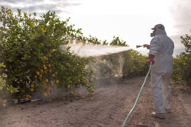 Best Commercial Pest Control Services  in Ray City, GA