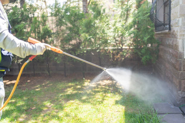 Best Residential Pest Control  in Ray City, GA