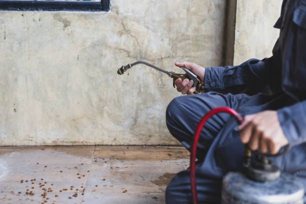 Best Pest Control Near Me  in Ray City, GA